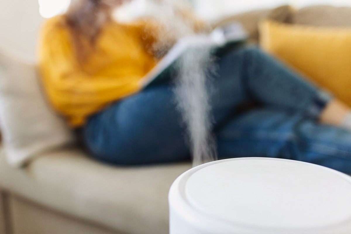 Use a Humidifier if the Air is Dry